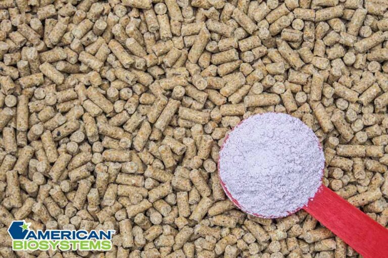 Why Are Additives Put in Livestock Feed? American Biosystems