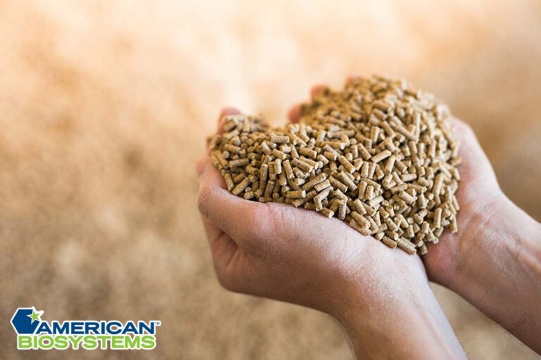 How To Calculate Feed Ration For Cattle Livestock Feed for Farms